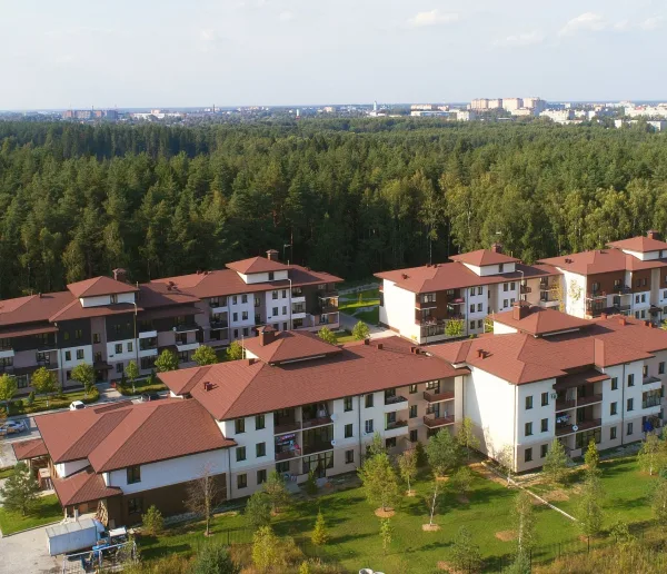 Лесной